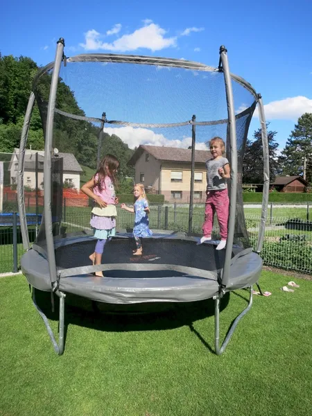 Avyna Pro-Line Trampoline Met Net En Ladder - Ø365 Cm - Grijs 11 Avyna Pro-Line Trampoline Met Net En Ladder - Ø365 Cm - Grijs - Afbeelding 11