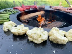 Bonfeu BonBiza Vuurschaal Bbq - Corten -OASE Winkel 550x412 1