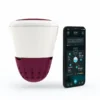 Ondilo ICO Smart Spa Tester