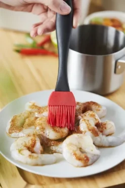 Barbecook Sauspan Met Marinadeborstel -OASE Winkel 900 600 bc acc 7211 sf 12 hr