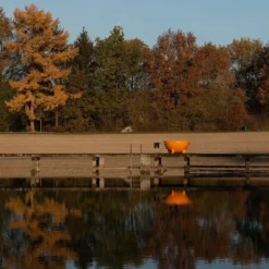 Weltevree Dutchtub Original Houtgestookte Hottub - 4 Personen - Groen -OASE Winkel chtub original gallery 12 1920x1920 2