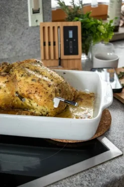 MEATER Block Met 4 Draadloze Thermometers -OASE Winkel img 7944