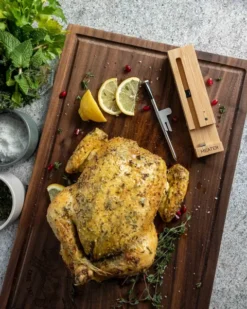 MEATER Original Draadloze Thermometer -OASE Winkel img 8137