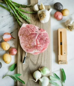 MEATER Plus Draadloze Thermometer -OASE Winkel lm23504 1