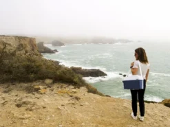 Mobicool MT08 Blauw Autokoelbox - 8 Liter -OASE Winkel mobicool mt 08 cliff woman 1 resultaat