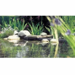 Oase Biosys Skimmer + -OASE Winkel plaatsing oase biosys skimmer