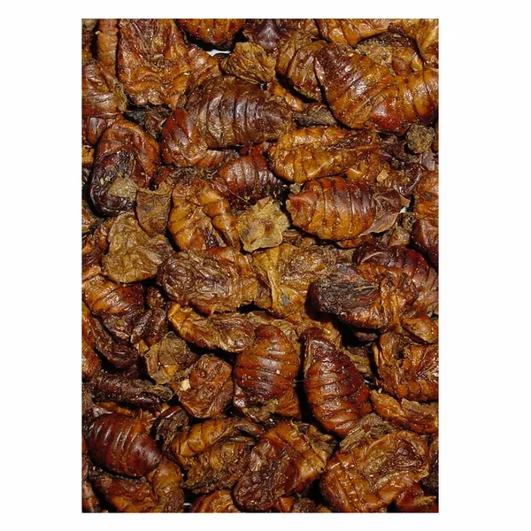 Velda Natuurlijk Koivoer - Zijderupsen 1375 Gram 2 Velda Natuurlijk Koivoer - Zijderupsen 1375 Gram - Afbeelding 2