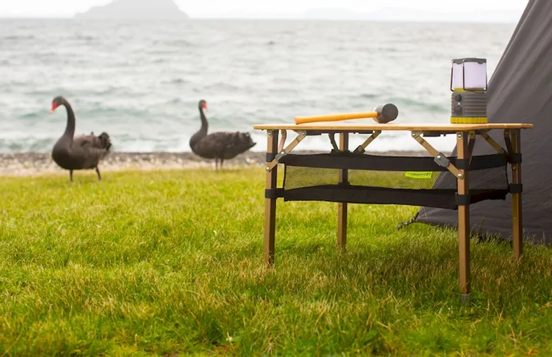 Zempire Kitpac Campingtafel Opbergnet - Standaard 4 Zempire Kitpac Campingtafel Opbergnet - Standaard - Afbeelding 4