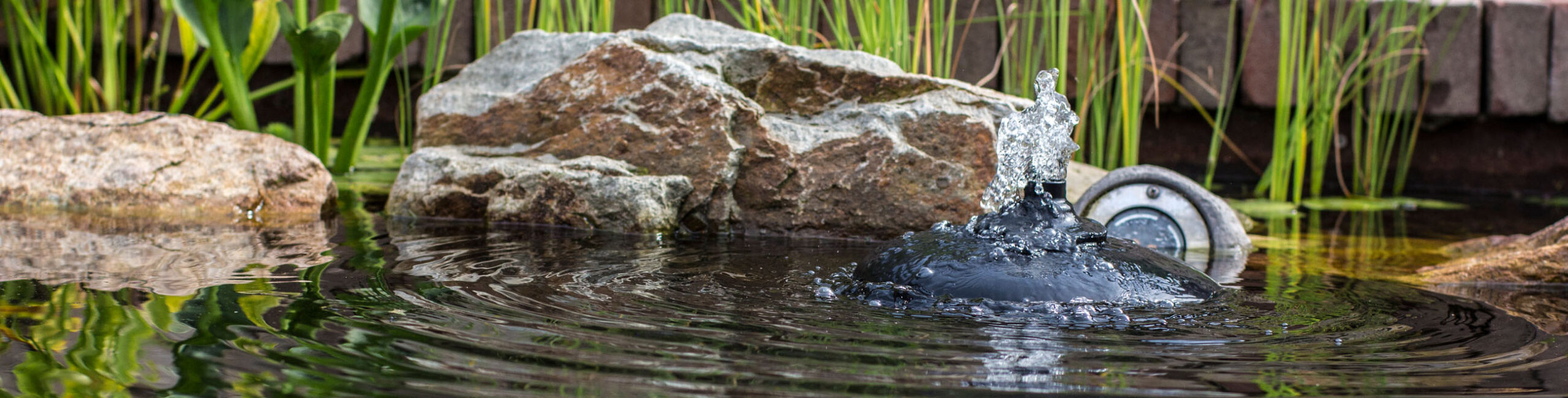 OASE Winkel -OASE Winkel vijverfilters 2 scaled